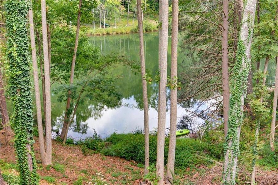 Natural landscape and outdoor views near  in Ball Ground (Image 36).