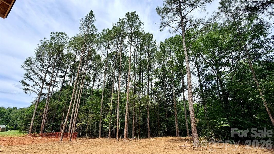 Natural landscape and outdoor views near  in Concord (Image 15).
