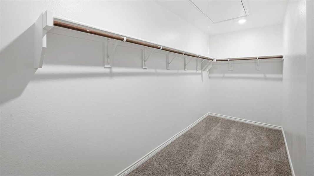 Walk in closet with attic access and carpet Walk in closet with attic access and carpet