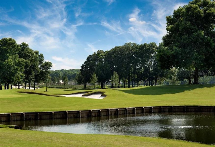 Natural landscape and outdoor views near  in Ocala (Image 54).