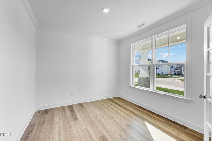 SUN_Stoneriver_Pic_Dalton_Study_3of3