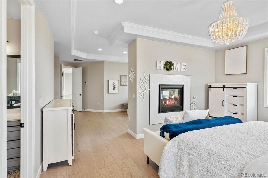 Primary Bedroom with Fireplace