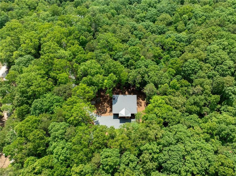 Natural landscape and outdoor views near  in Morganton (Image 37).