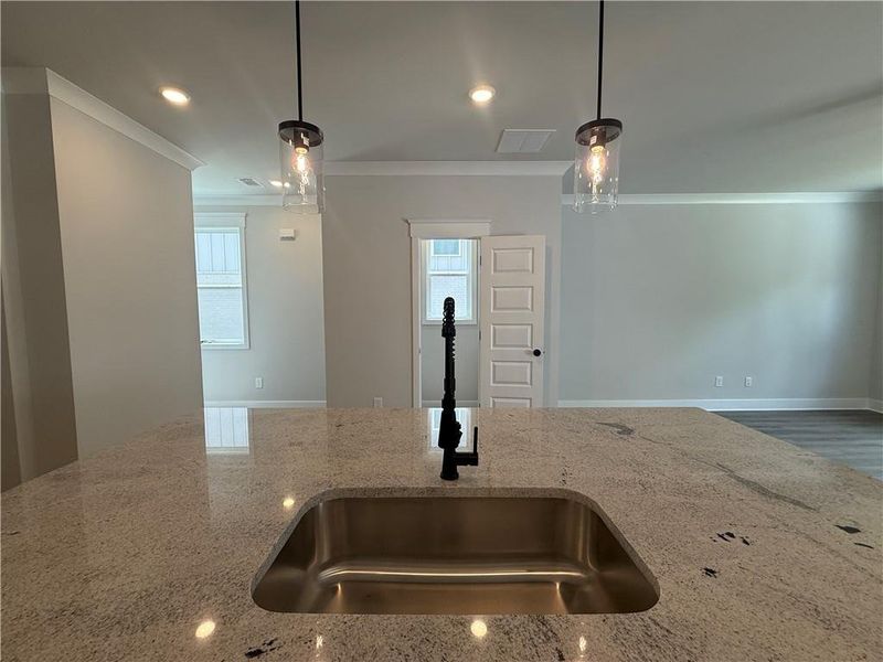 Close-up of interior finishes inside a home in The Towns at Auburn Station East, Auburn (Image 15).