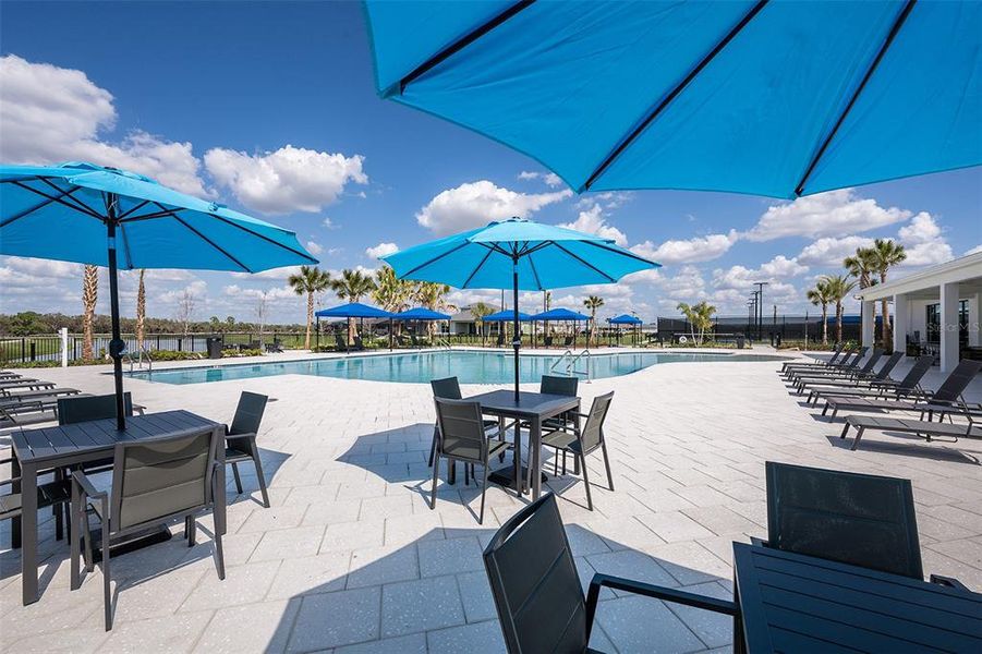 Community amenities in Woodland Preserve, Parrish (Image 81).