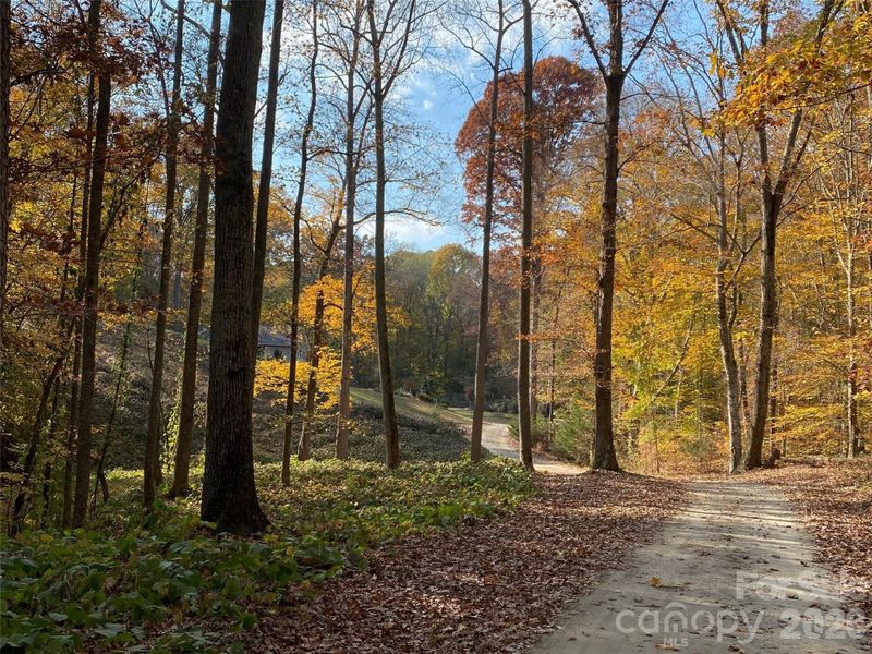 Natural landscape and outdoor views near  in Davidson (Image 34).
