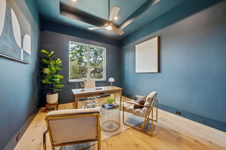 This downstairs secondary bedroom or study has a large closet and an adjacent guest bathroom. The color is a deep navy blue.
