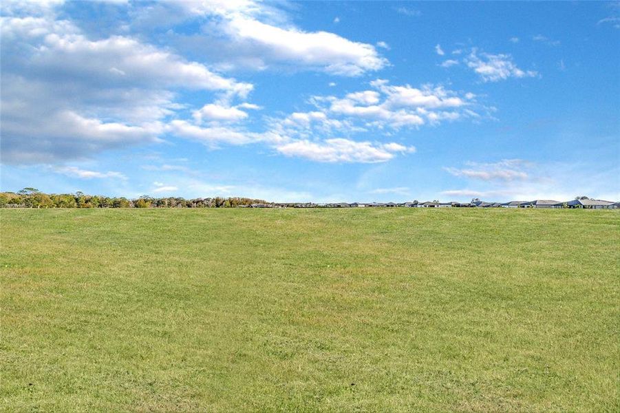 Natural landscape and outdoor views near  in Ocala (Image 46).