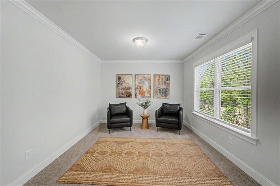 Furnished interior view inside a new home in The Estates at Hurricane Pointe, Douglasville (Image 35).