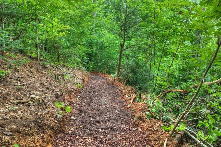 Natural landscape and outdoor views near  in Ellijay (Image 68).