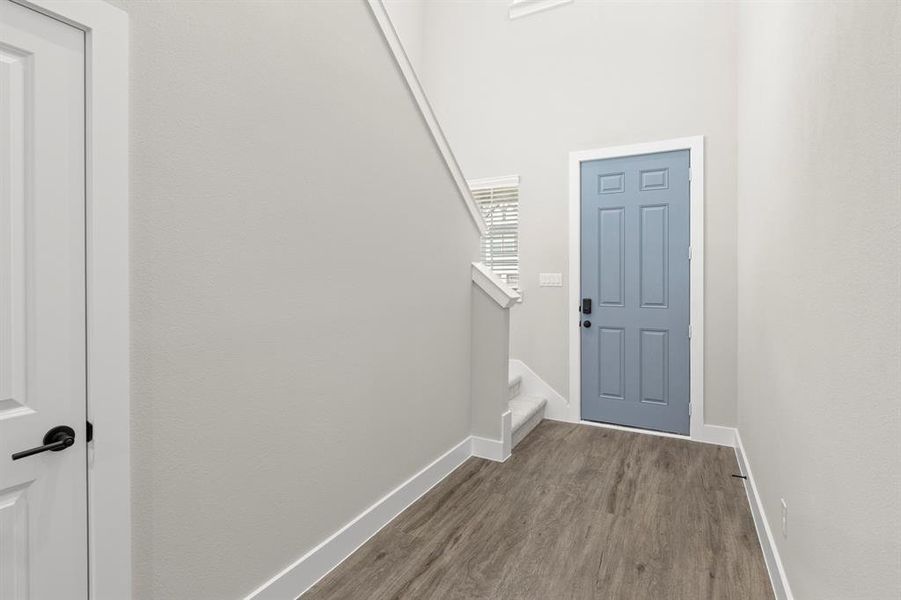 03. 709 Wilderness - Entry 03. 709 Wilderness - Entry