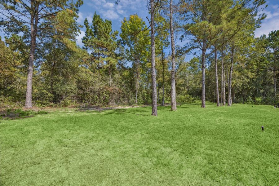 Natural landscape and outdoor views near  in Montgomery (Image 40).