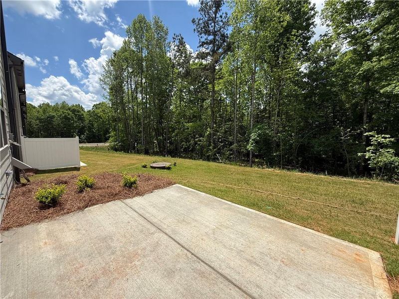 Exterior details and patio area of a home in The Towns at Auburn Station East, Auburn (Image 21).