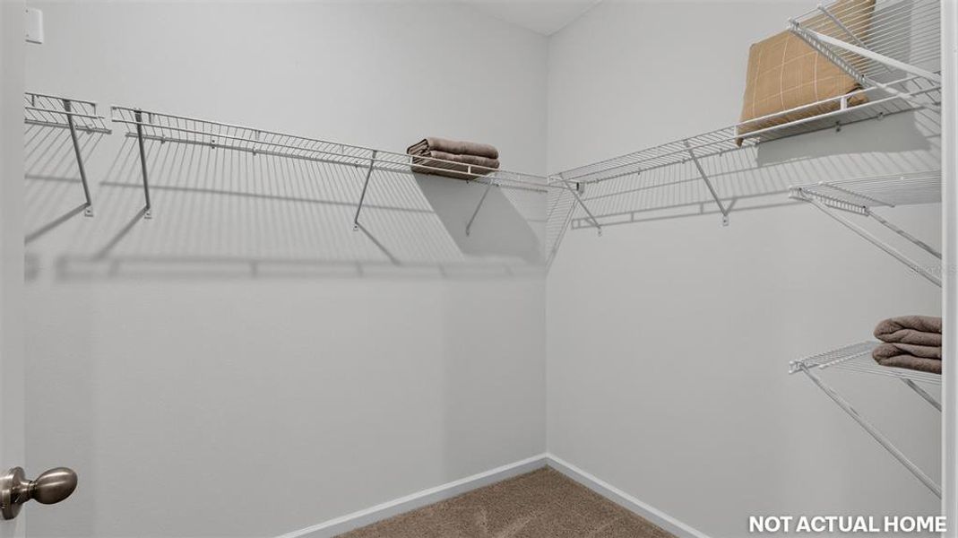 Spacious, unfurnished interior of a new home in Sawmill Branch, Palm Coast (Image 20).