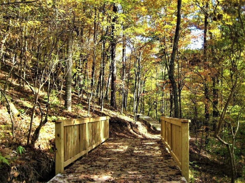 Natural landscape and outdoor views near  in Waleska (Image 17).