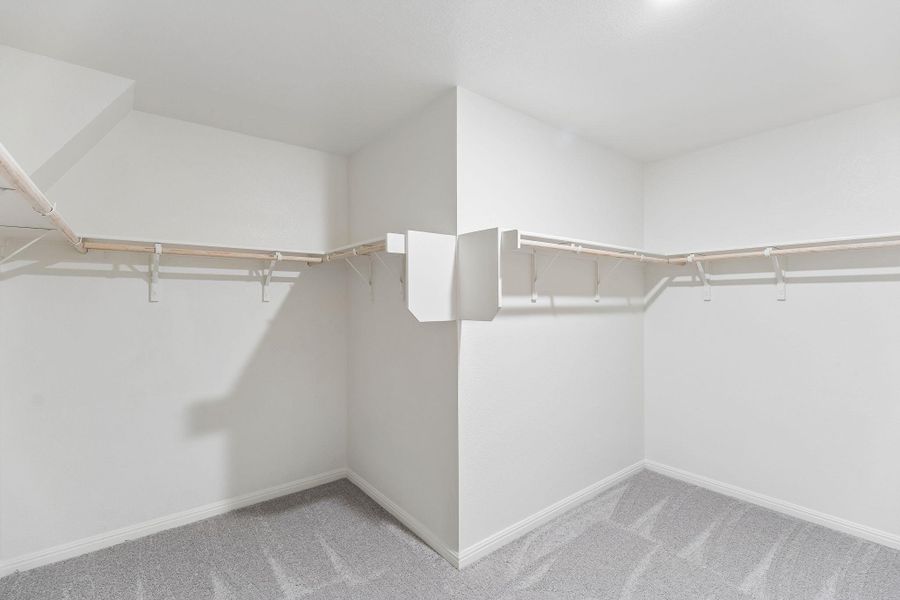 Walk in closet with light carpet