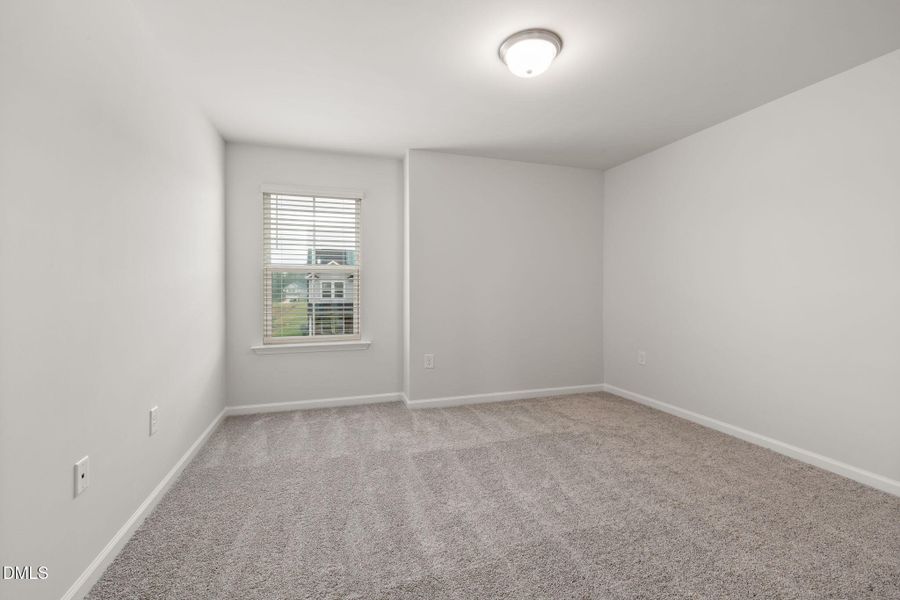 PRO HAMPTON LOT #77 PIC (19)