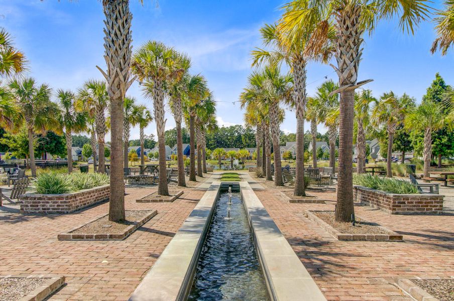 Natural landscape and outdoor views near Sweetgrass at Summers Corner in Summerville (Image 76).