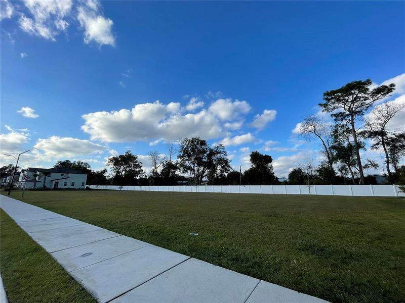 Natural landscape and outdoor views near  in Zephyrhills (Image 16).