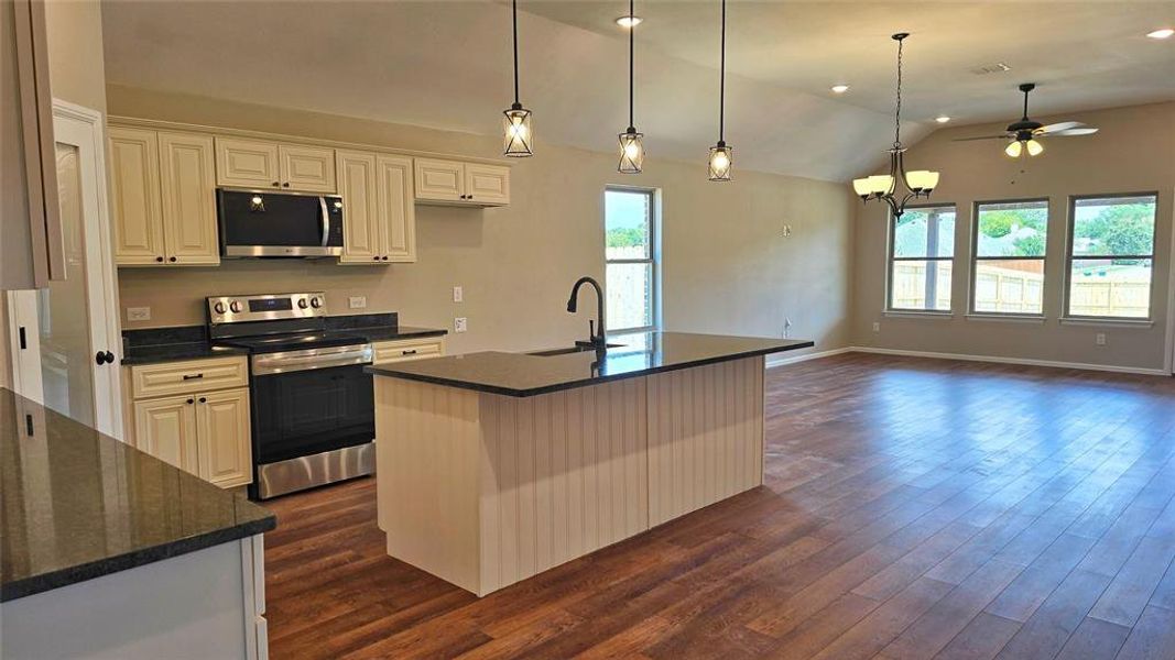 Kitchen featuring stainless steel appliances, lofted ceiling, ceiling fan, dark wood-type flooring, and open floor plan