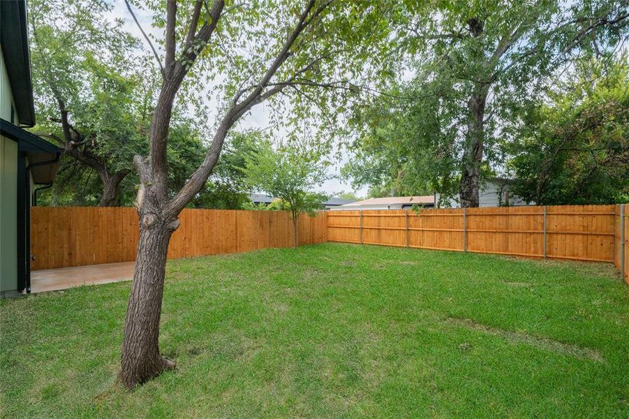 View of back yard