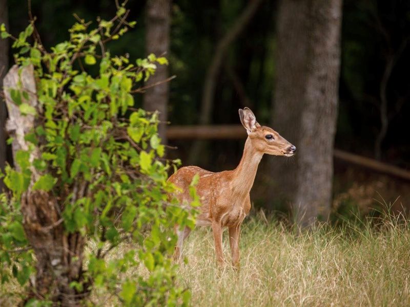 Image 16 of a home in . Image 16 of a home in .