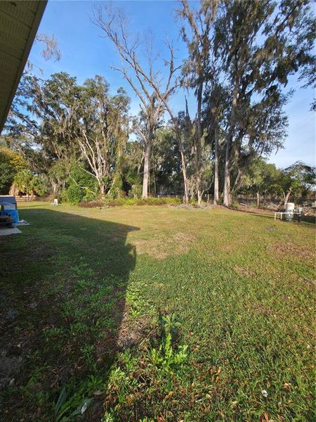 Natural landscape and outdoor views near in Summerfield (Image 30). Natural landscape and outdoor views near in Summerfield (Image 30).