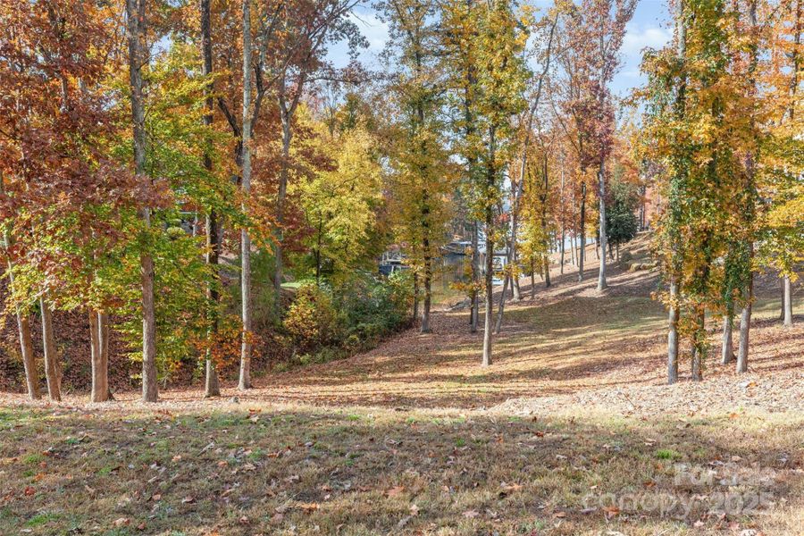 Natural landscape and outdoor views near  in Mooresville (Image 4).