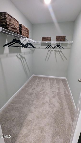 PXL_20251001_171101798