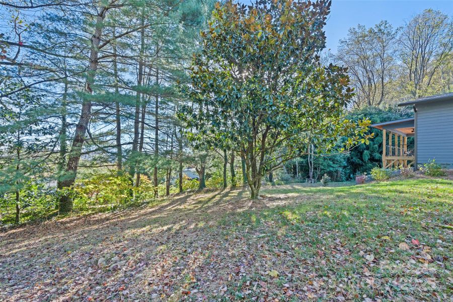 Natural landscape and outdoor views near  in Sylva (Image 31).