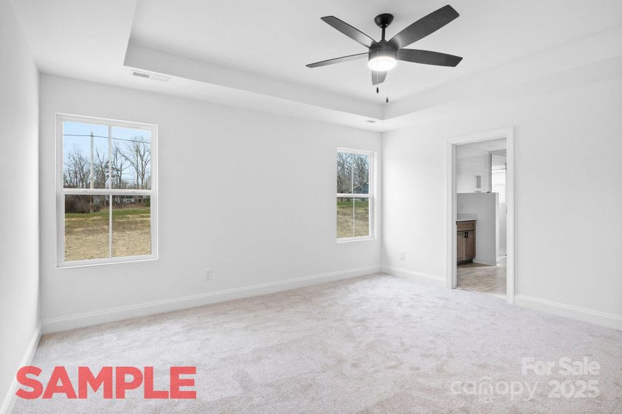 Primary Bd Primary Bd