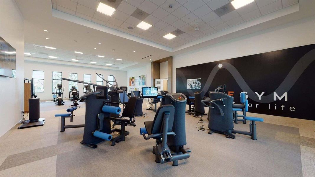 egym egym