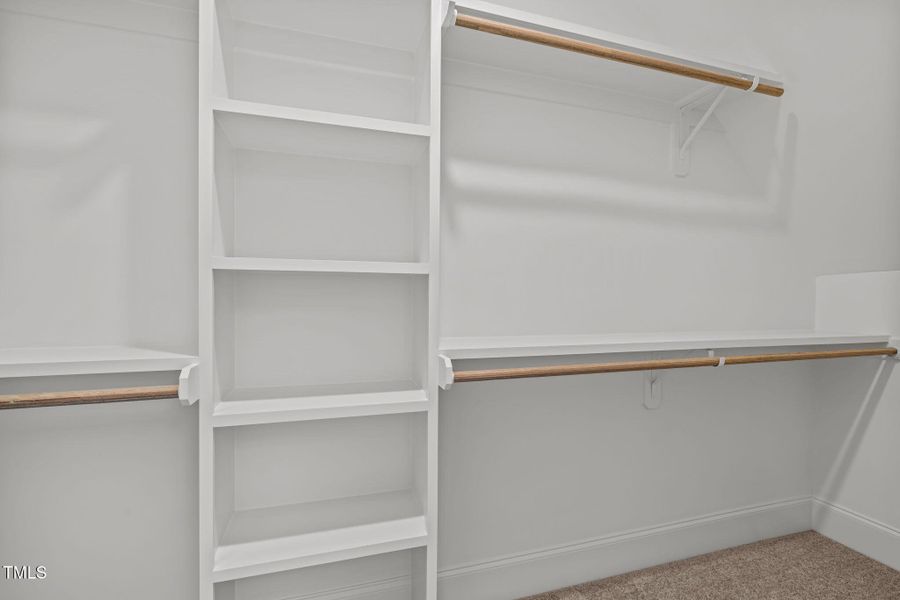 37-web-or-mls-5Z8A1198