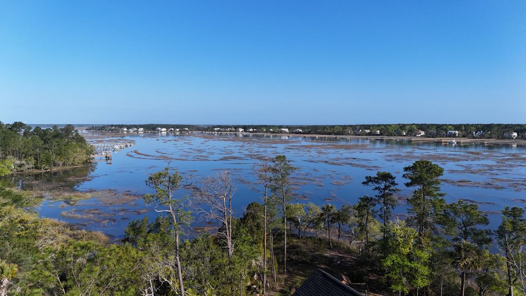 Natural landscape and outdoor views near Carolina Park: Riverside in Mount Pleasant (Image 81).