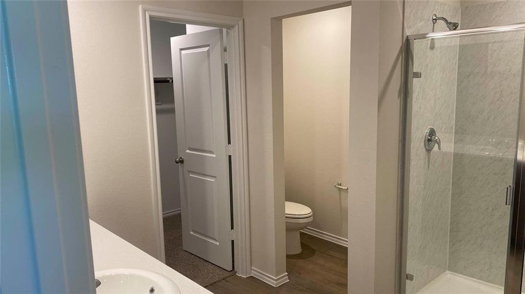 Bathroom with a stall shower, vanity, and dark wood-type flooring