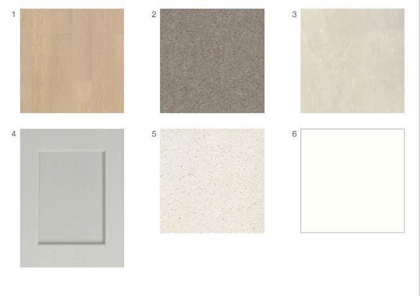 9207 Willowbank Gap Lane design selections! This home is currently under construction and selections are subject to change.