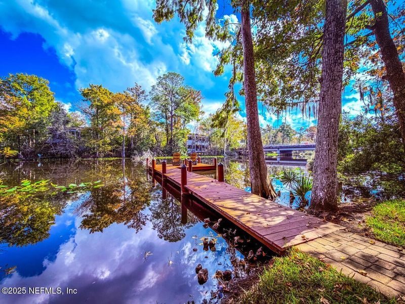 Natural landscape and outdoor views near  in Jacksonville (Image 58).