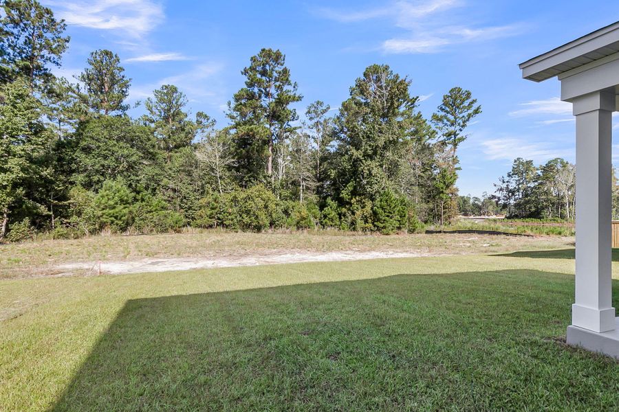 Natural landscape and outdoor views near Tidewater at Lakes of Cane Bay in Summerville (Image 38).