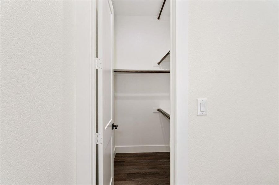 Walk in closet featuring dark wood-type flooring
