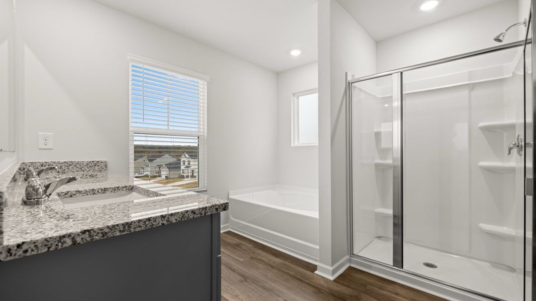 Representative furnished interior of a home built from the Halton by D.R. Horton in Highland Hills, Graniteville (Image 9).