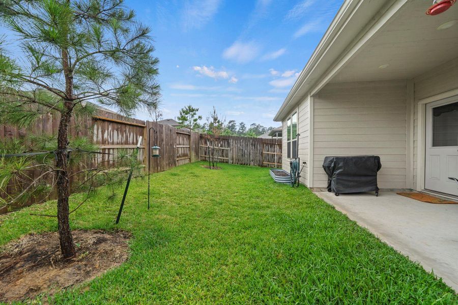 Different view of the backyard. Different view of the backyard.