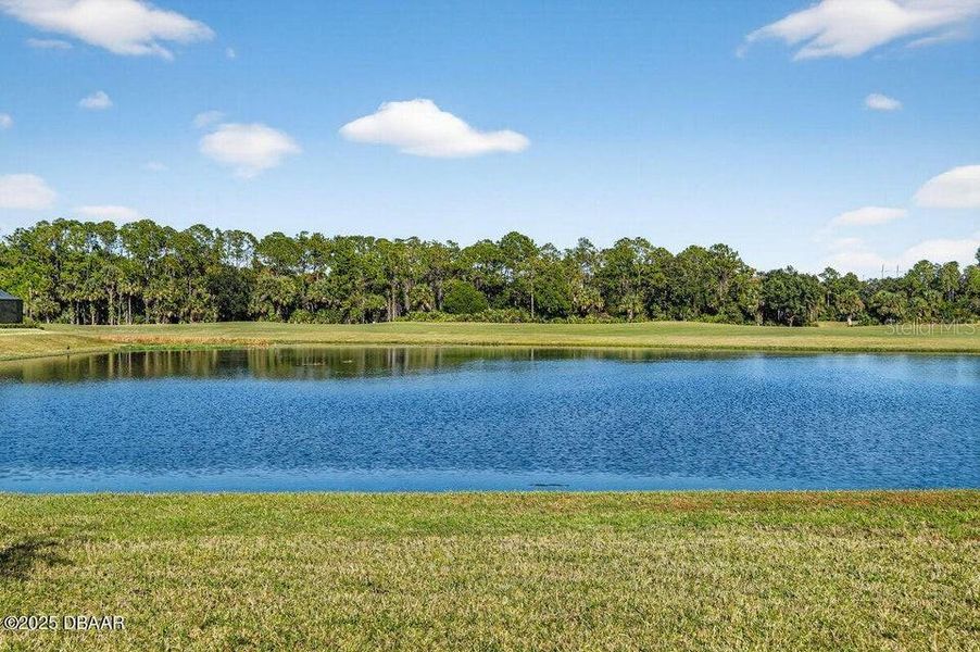 Natural landscape and outdoor views near Legends Preserve - Reserve Series in Daytona Beach (Image 46). Natural landscape and outdoor views near Legends Preserve - Reserve Series in Daytona Beach (Image 46).