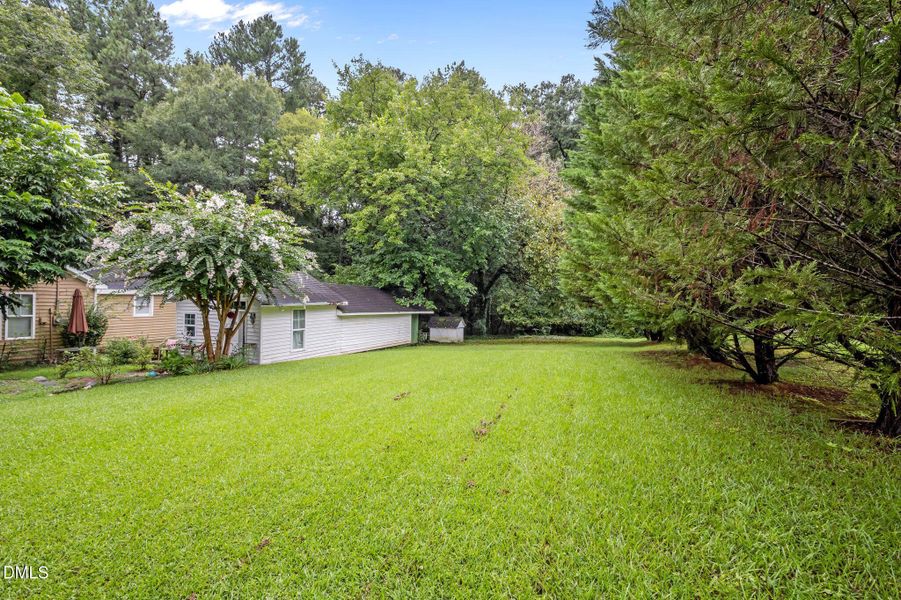 8-web-or-mls-P1078521