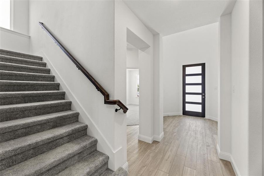 01_Grapevine_Representative Photo 01_Grapevine_Representative Photo