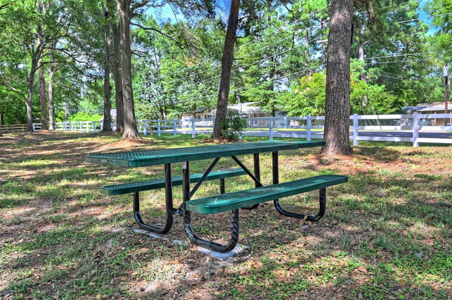Community amenities in , Willis (Image 25). Community amenities in , Willis (Image 25).