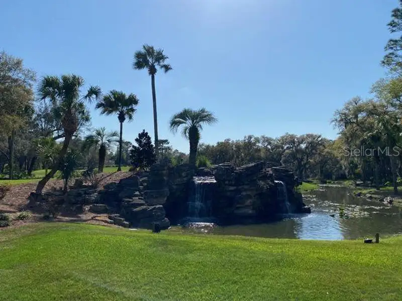 Natural landscape and outdoor views near in Dunnellon (Image 15). Natural landscape and outdoor views near in Dunnellon (Image 15).
