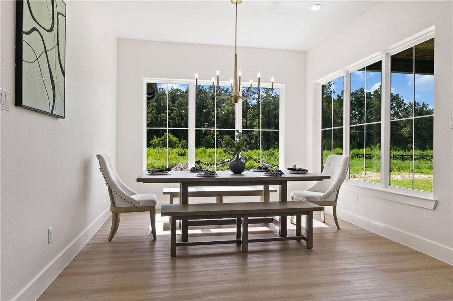Furnished interior view inside a new home in , Conroe (Image 8). Furnished interior view inside a new home in , Conroe (Image 8).