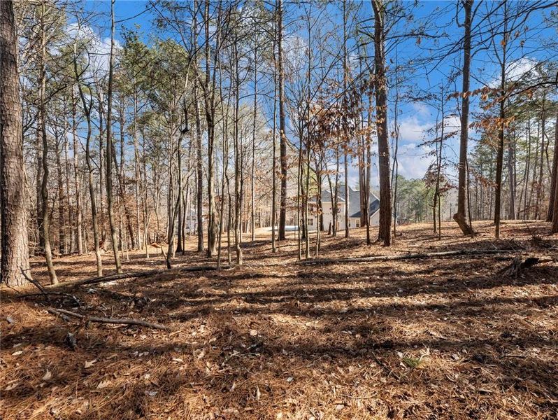 Natural landscape and outdoor views near  in Winder (Image 51).