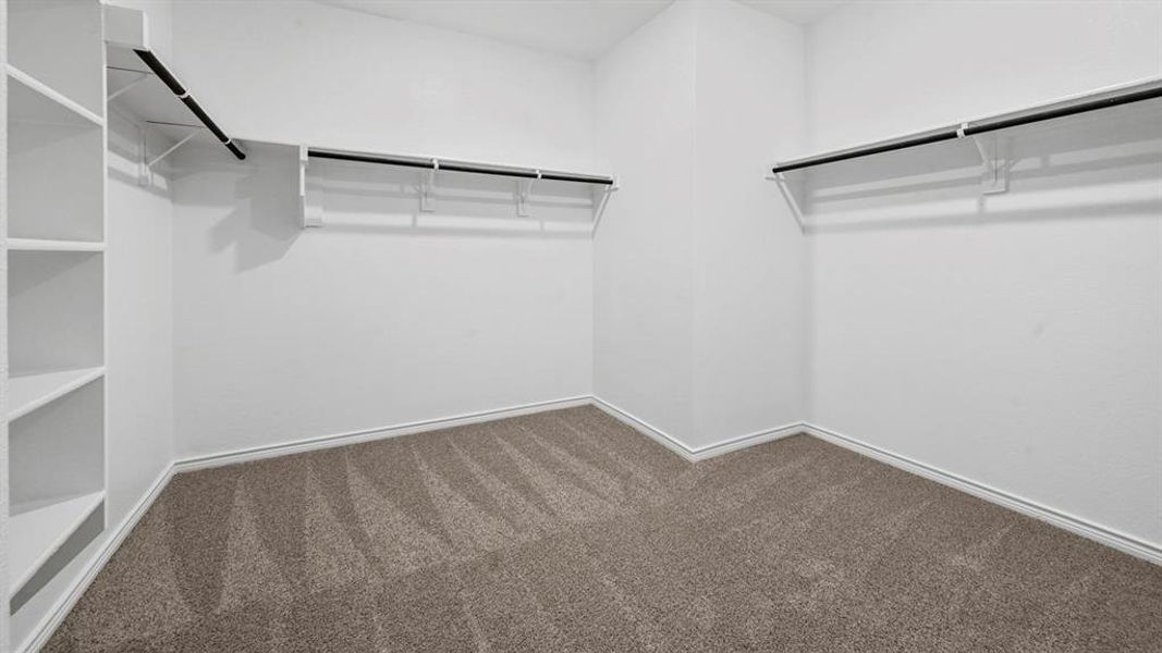 Spacious closet featuring carpet