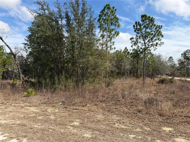 Natural landscape and outdoor views near  in Brooksville (Image 6).